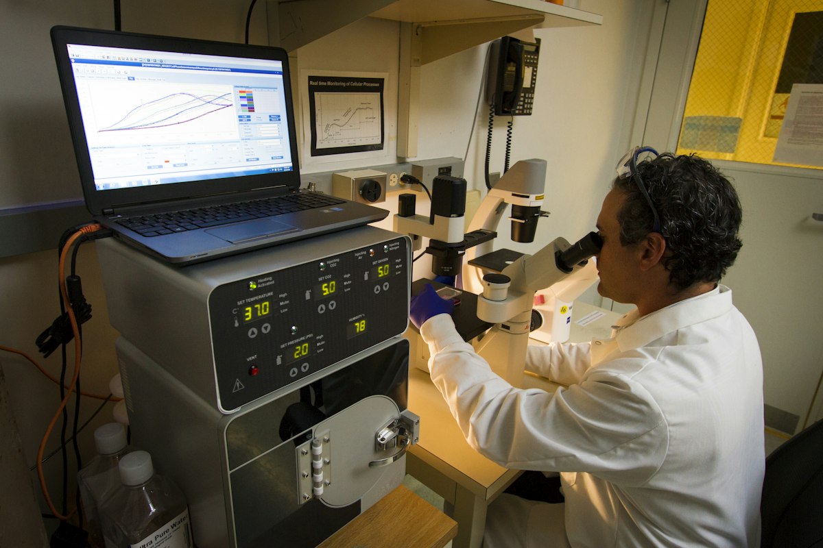 Laboratory technician examining a sample through a microscope
